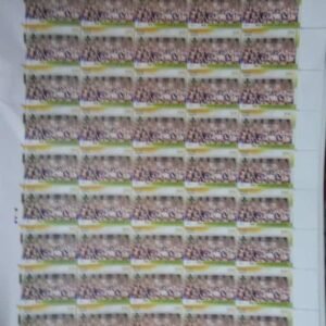 India 2017 Cub Scouts MNH Sheet of 45 Stamps