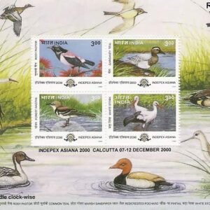 India Miniature Stamps 2000 Indepex Asiana Birds